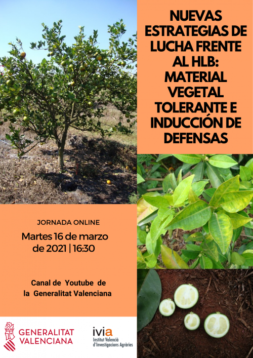 Nuevas estrategias de lucha frente al HLB_ material vegetal e inducción de defensas (1)